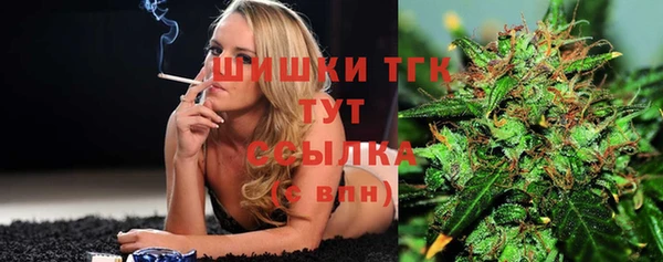 Альфа ПВП Мегион