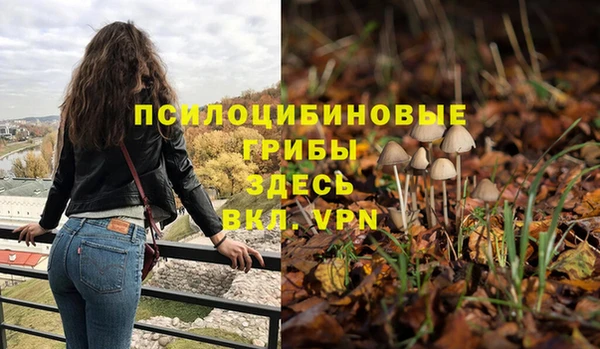 гидропоника Медвежьегорск
